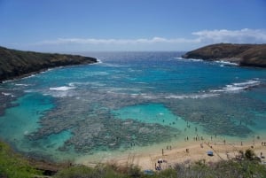 Oahu: Privat tur - Circle Island - kan tilpasses