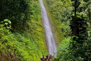 Oahu: Privat tur - Circle Island - kan tilpasses