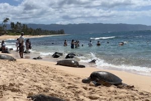 Oahu: Privat tur - Circle Island - kan tilpasses