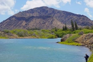Oahu: Privat tur - Circle Island - kan tilpasses