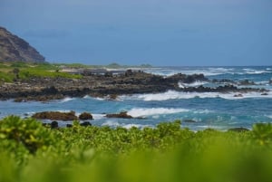 Oahu: Privat tur - Circle Island - kan tilpasses