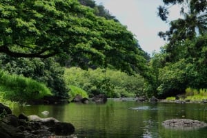 Oahu: Privat tur - Circle Island - kan tilpasses