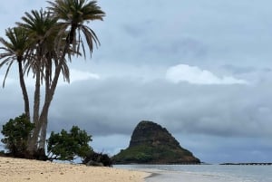 Oahu: Privat tur - Circle Island - kan tilpasses