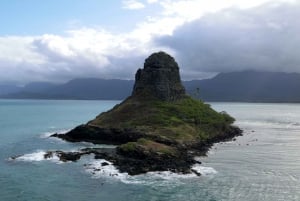 Oahu: Privat tur - Circle Island - kan tilpasses