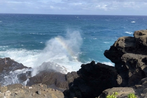 Oahu: Privat tur - Circle Island - kan tilpasses