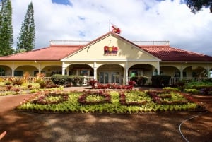 Oahu: Privat tur - Circle Island - kan tilpasses