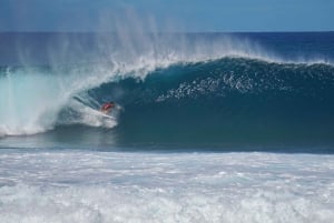 Oahu: Privat tur - Circle Island - kan tilpasses