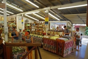 Oahu: Excursão privada - Costa Norte com. Cataratas de Waimea