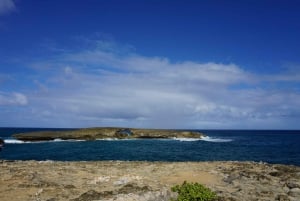 Oahu: Excursão privada - Costa Norte com. Cataratas de Waimea
