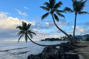 Oahu: Excursão privada - Costa Norte com. Cataratas de Waimea