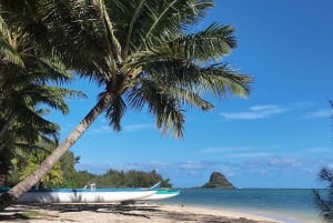 Oahu: Excursão privada - Costa Norte com. Cataratas de Waimea