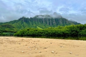 Oahu: Excursão privada - Costa Norte com. Cataratas de Waimea
