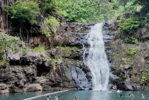 Oahu: Excursão privada - Costa Norte com. Cataratas de Waimea