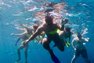Oahu: Privat snorkling med sköldpaddor med anpassningsbar resplan