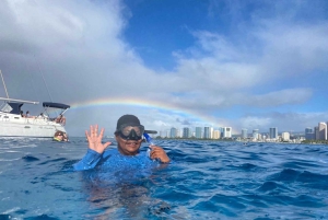 オアフ島：カスタマイズ可能な旅程付きプライベート タートル シュノーケリング