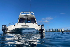 オアフ島：カスタマイズ可能な旅程付きプライベート タートル シュノーケリング