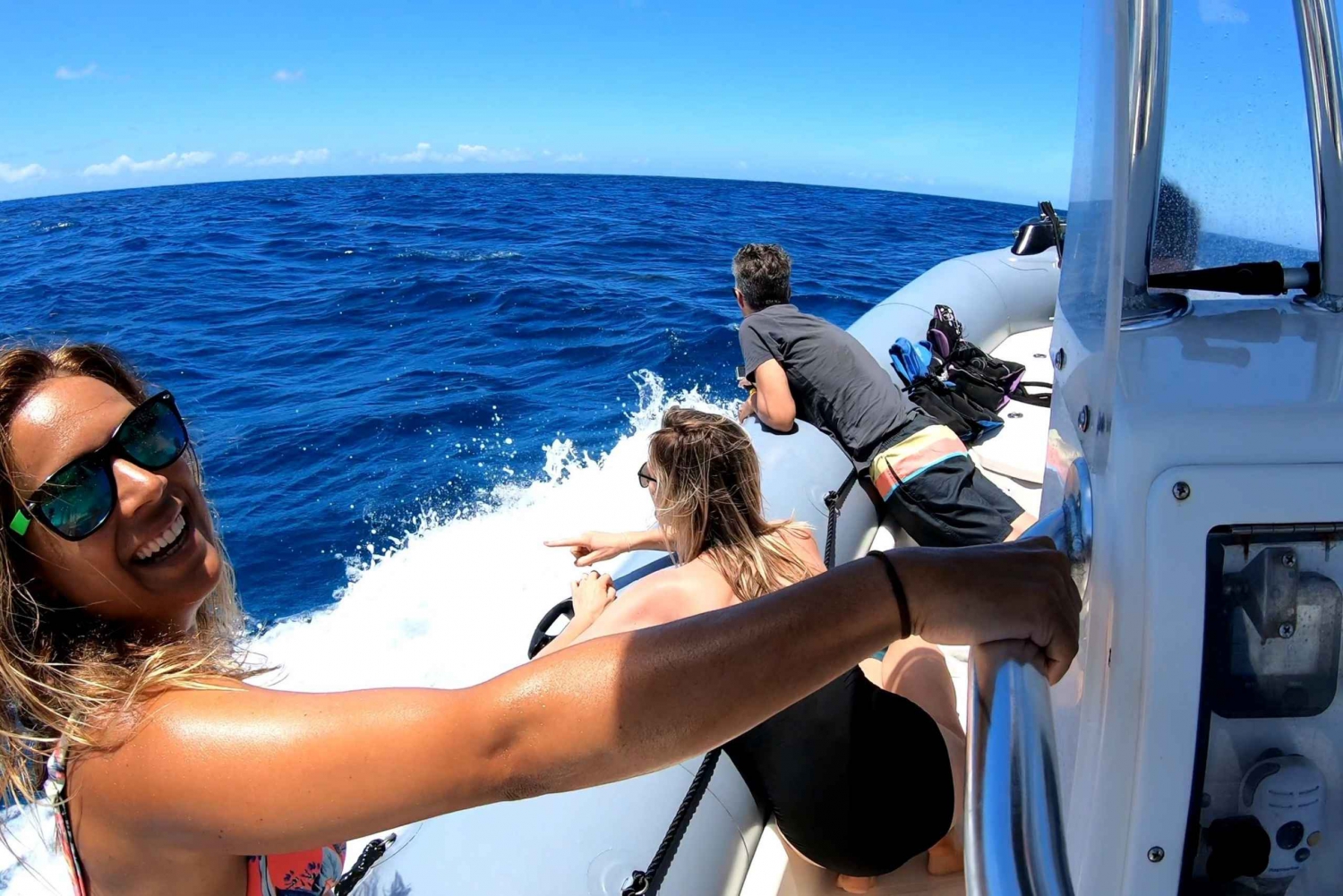 Oahu: aventura privada de observação de baleias