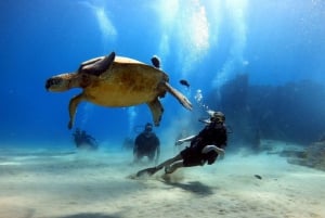 Oahu: Scuba Diving Lektion för nybörjare