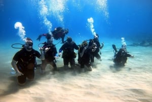 Oahu: lezione di immersioni subacquee per principianti