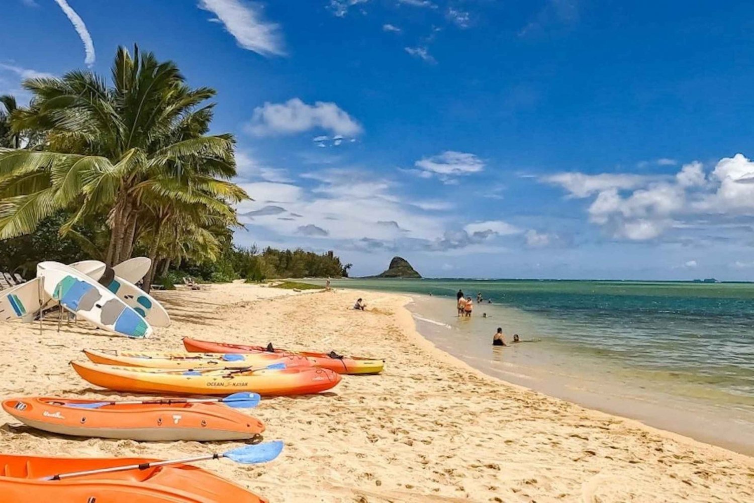 Oahu: aventura secreta na ilha do círculo de praia