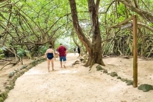 Oahu: Secret Beach Circle Island Adventure