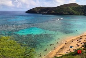 Oahu: Itseopastetut audioajokierrokset - koko saari.