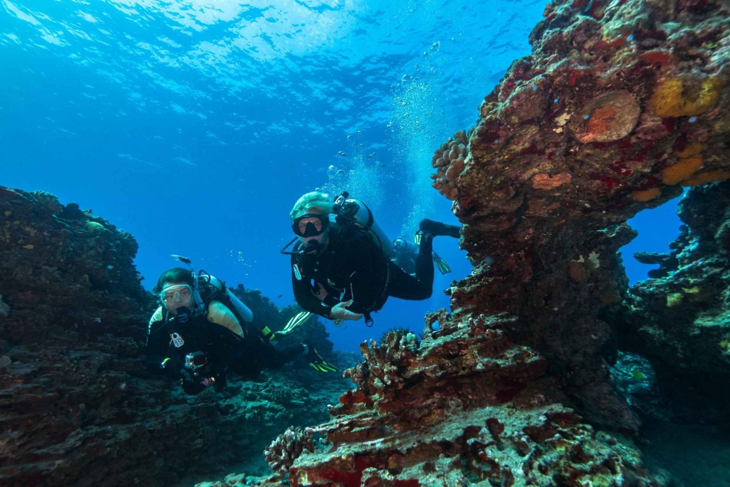 Oahu: Mergulho em recifes rasos para mergulhadores certificados