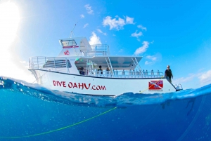 Oahu: Dykning med grunda rev för certifierade dykare