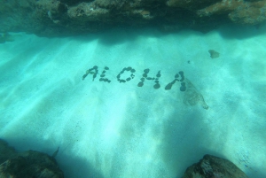 Оаху: подводное погружение на мелководье рифа для сертифицированных дайверов