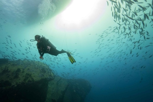 Оаху: подводное погружение на мелководье рифа для сертифицированных дайверов