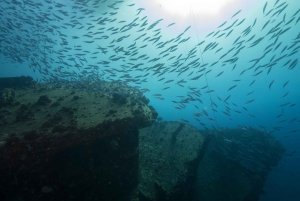 Оаху: подводное погружение на мелководье рифа для сертифицированных дайверов