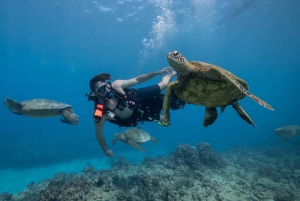 Оаху: подводное погружение на мелководье рифа для сертифицированных дайверов