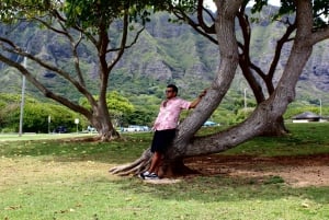 Oahu: Shark's Cove, Kualoa, Dole, & Island Circle Adventure