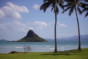 Oahu sevärdheter och shopping Slingshot Tour