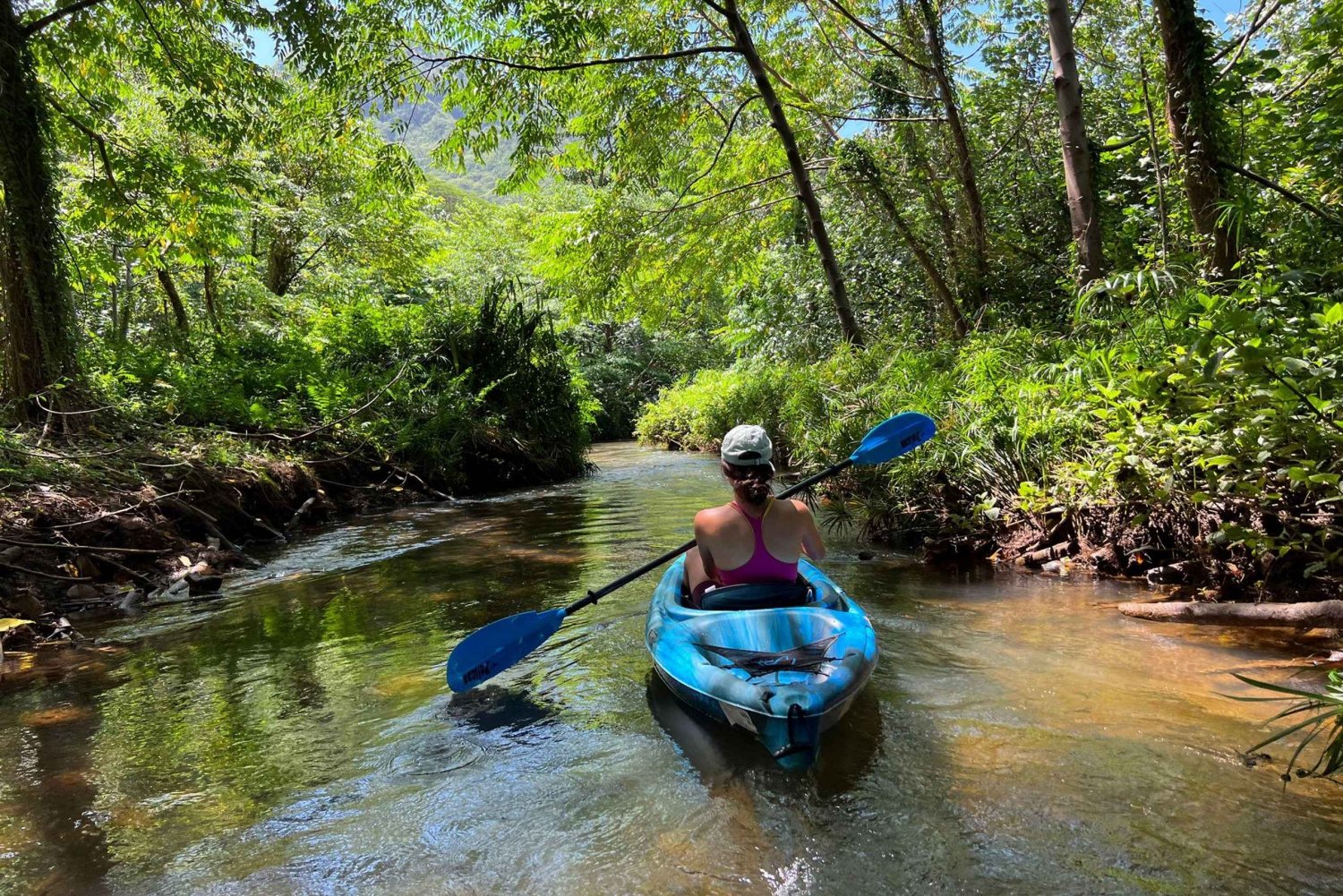 Oahu: Single & Double Kayak 3-Hour River Rental