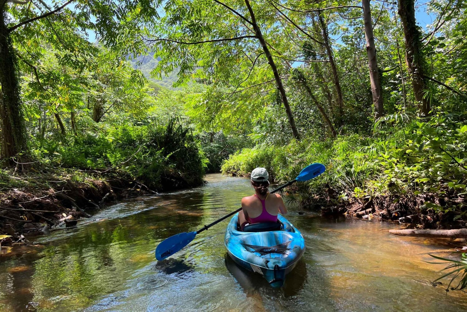 オアフ島：シングル＆ダブルカヤック 3 時間川レンタル