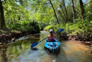 Oahu Alquiler de 3 horas de kayak individual y doble en el río