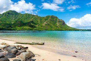 Oahu Alquiler de 3 horas de kayak individual y doble en el río