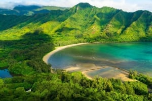 Oahu Alquiler de 3 horas de kayak individual y doble en el río