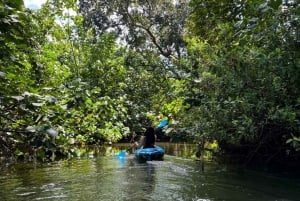 Oahu Alquiler de 3 horas de kayak individual y doble en el río