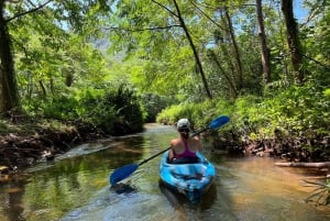 オアフ島：シングル＆ダブルカヤック 3 時間川レンタル
