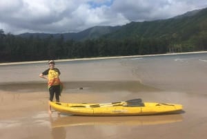Oahu: Single Person Kayak Rental