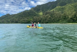 Oahu: Uthyrning av kajak för en person