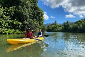 Oahu : Location de kayak pour une personne