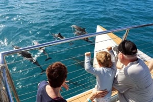 Premium Snorkeling Cruise & Dolphin Watch with Buffet