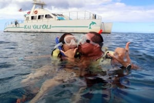 Oahu: snorkelen en dolfijnen spotten met een buffet in luau-stijl