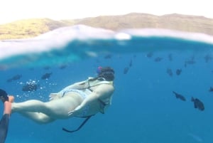 Oahu: Snorklaus- ja delfiiniristeily luau-tyylisellä buffetilla