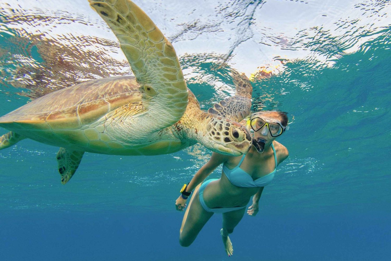 Honolulu : Plongée en apnée avec les tortues, scooter des mers, planche à pagaie