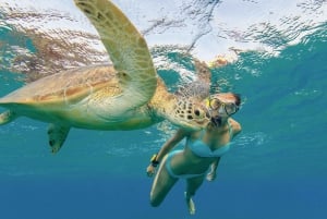 Honolulu: Snorkel com tartarugas, scooter aquático, paddleboard