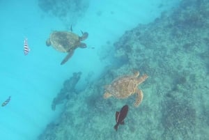 Honolulu: Snorkel with Turtles, Water Scooter, Paddleboard